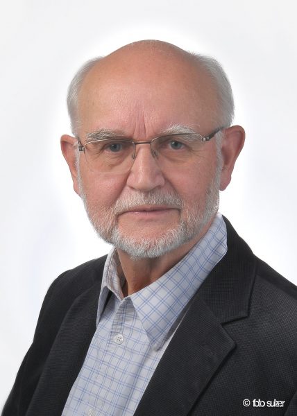 Friedrich Glasl