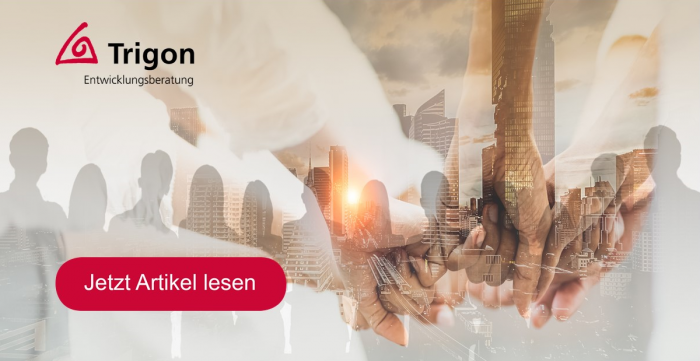 Trigon Themen 03-2021 „Mindset und Kompetenzen für emergente Strategie- und Beratungsarbeit“